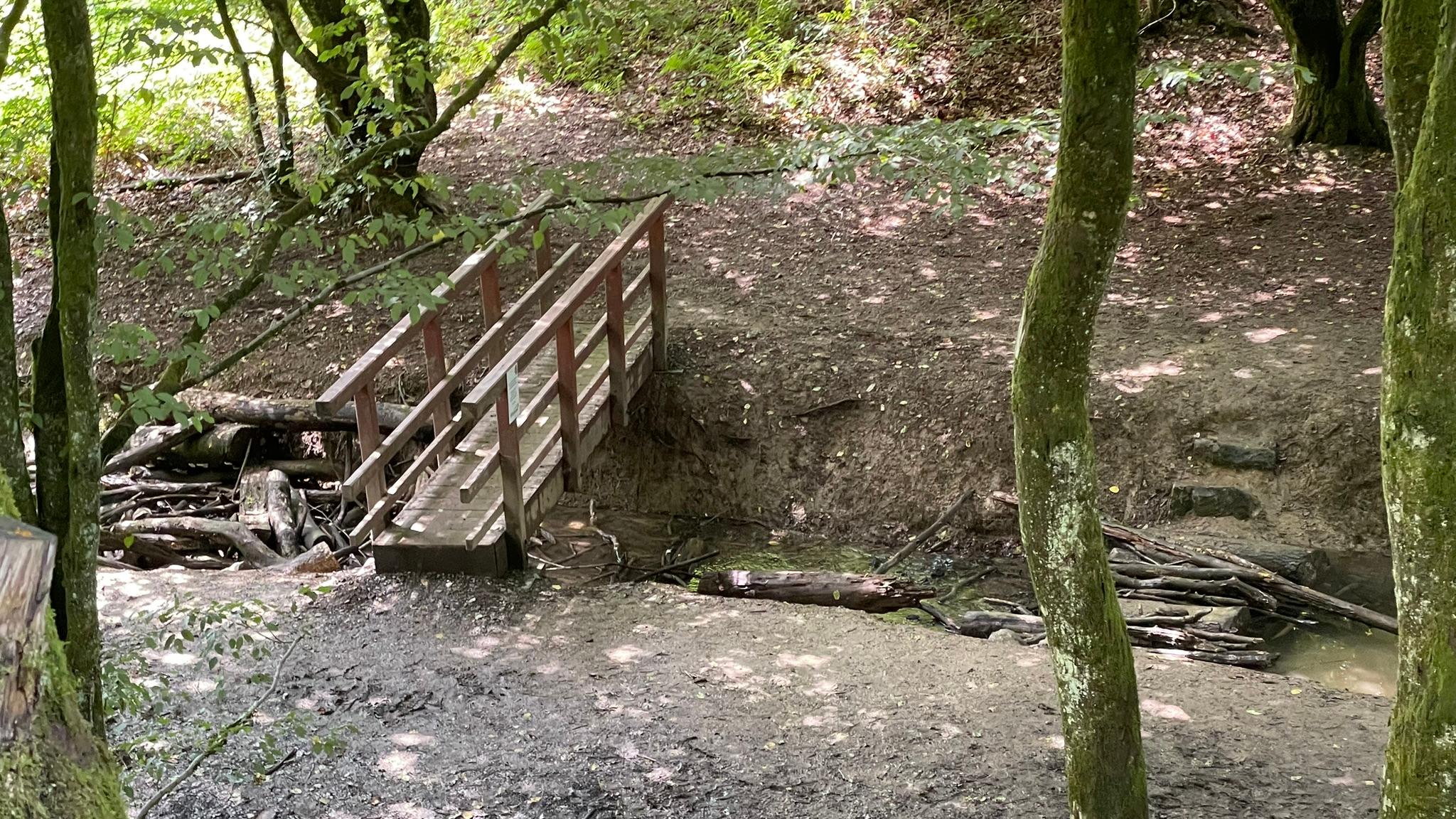 Waldbrücke