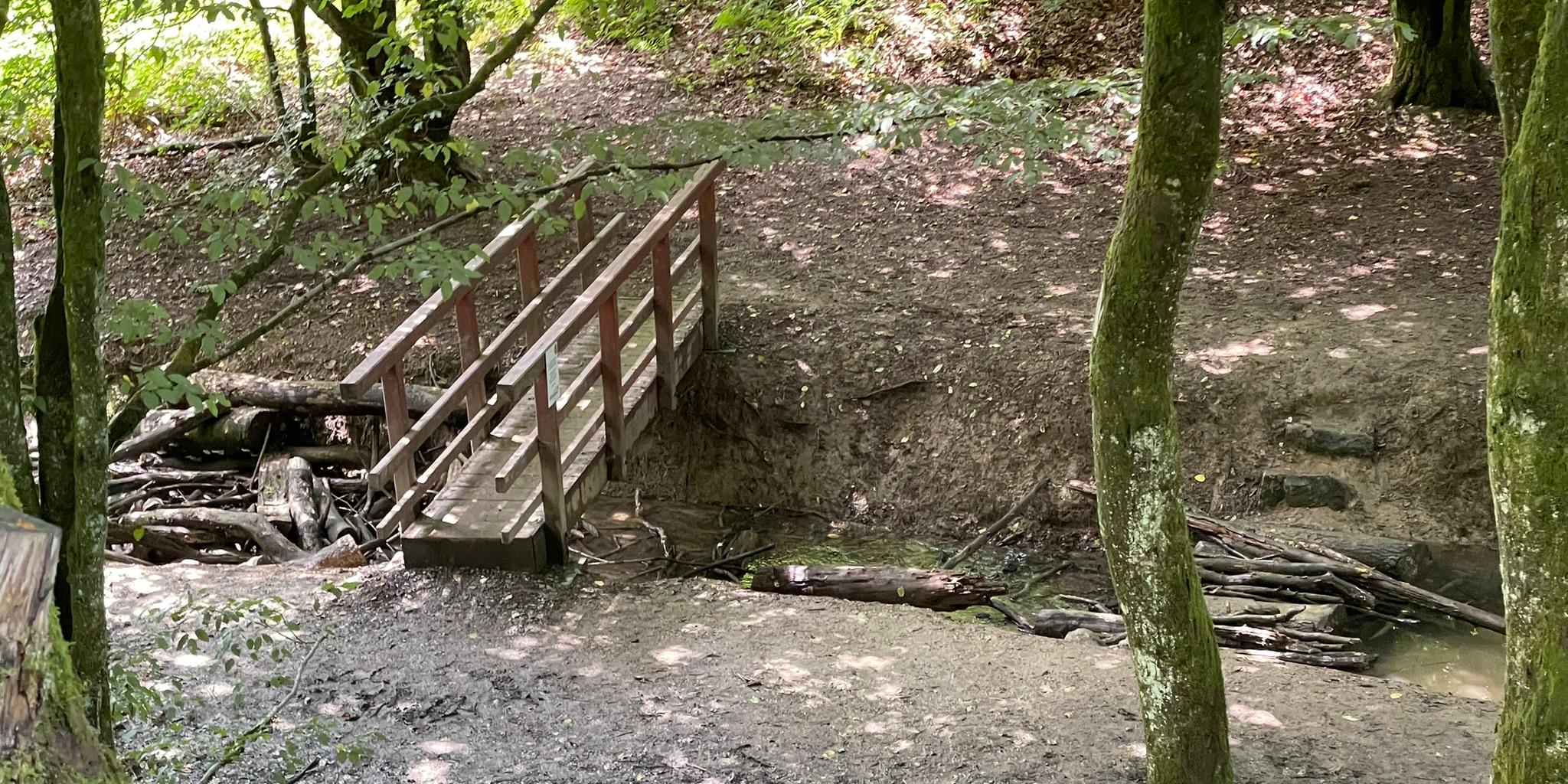 Waldbrücke