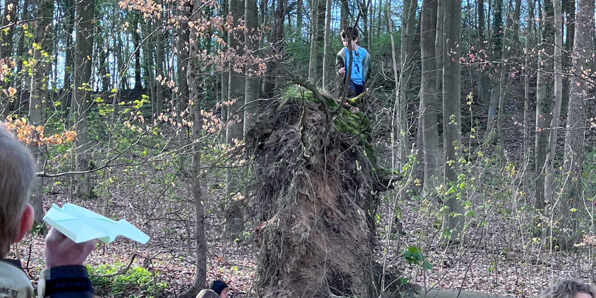 Großväter-Enkel Wald