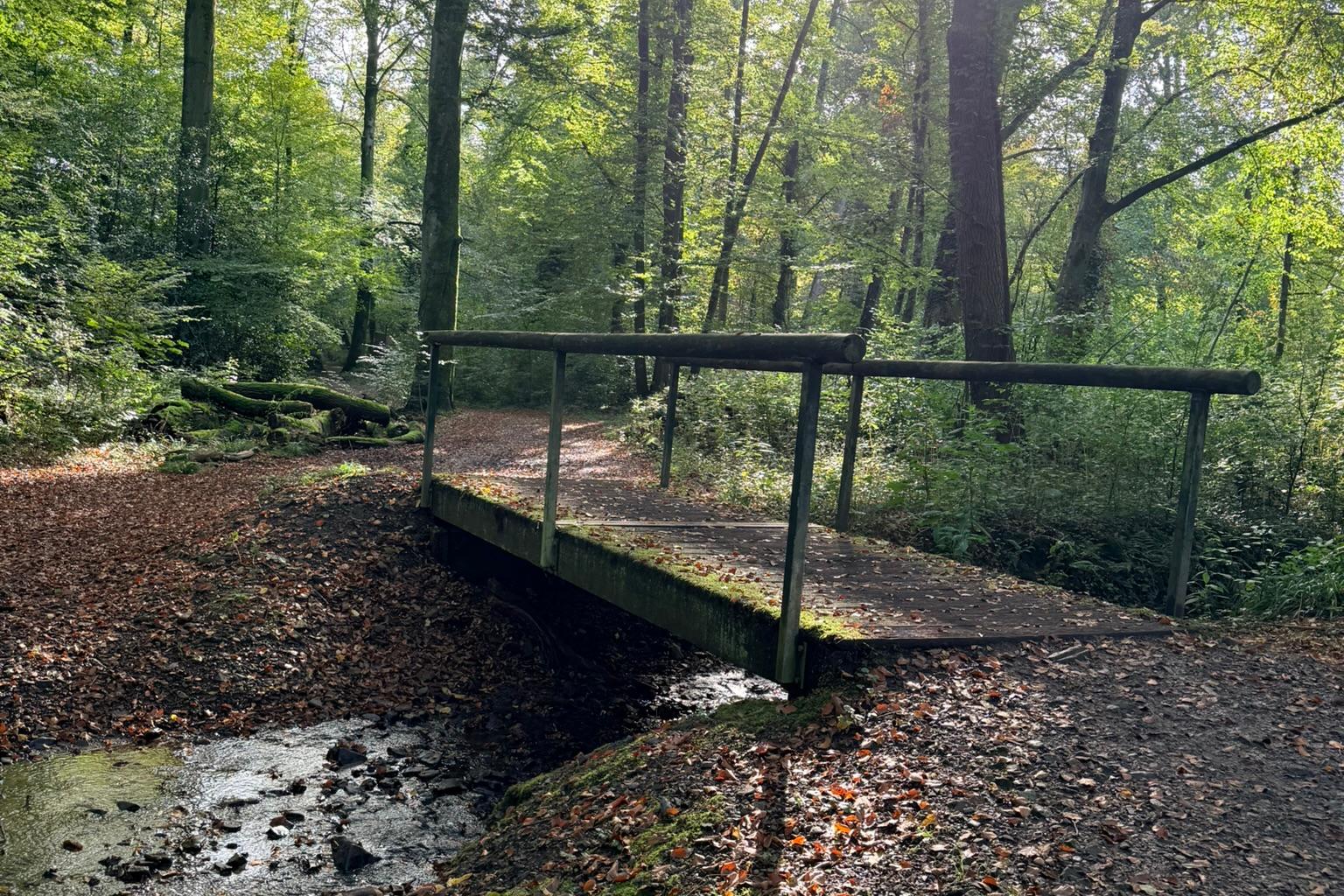 Brücke