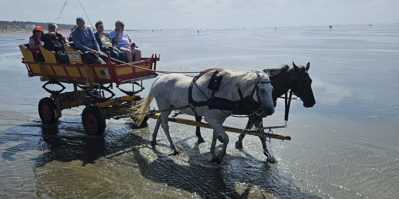 Kutschfahrt quer